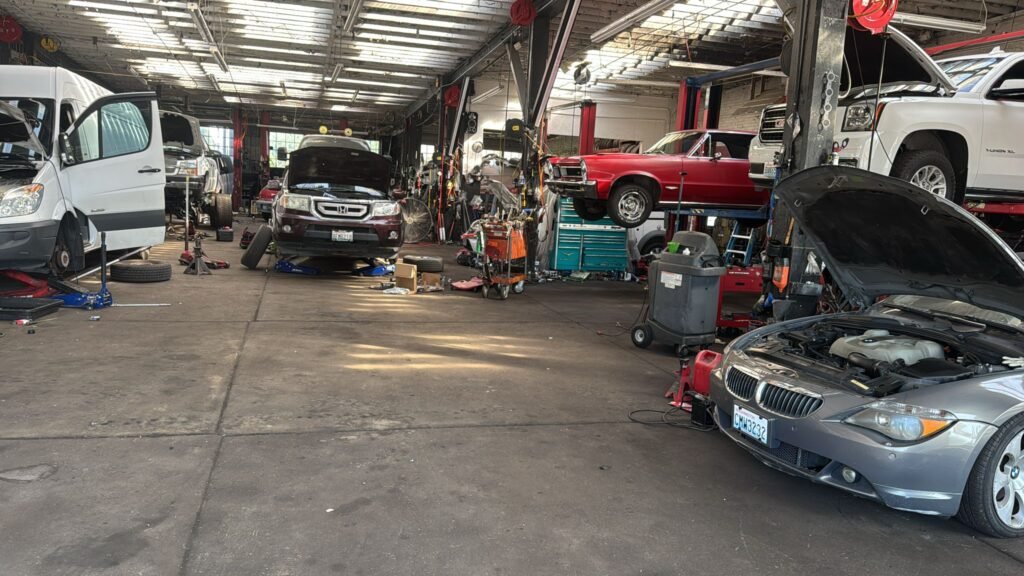 Machinical Monroe 24